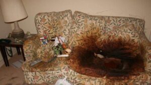 Lacey Fletcher Crime Scene Photos