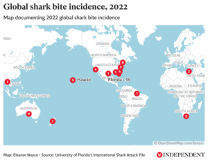 Vladimir Popov Shark Attack